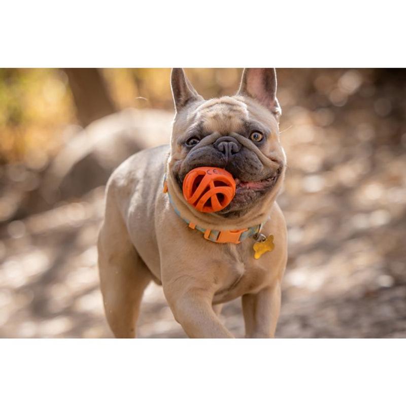 Chuckit! Range of Dog Toys - Balls, Fetch Toys for Dogs