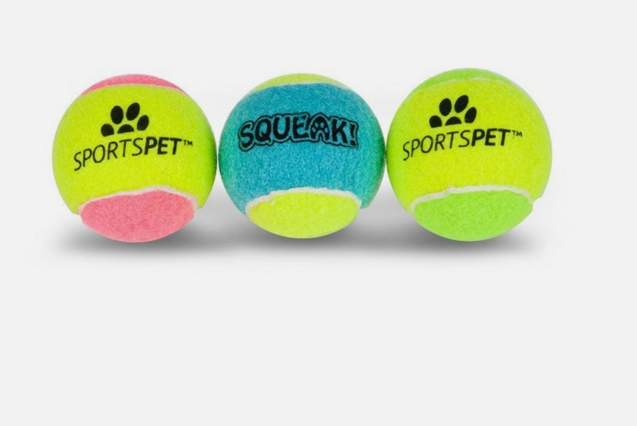 SPORTSPET Range of Dog Balls - Football, Volleyball and Rugby for Dogs
