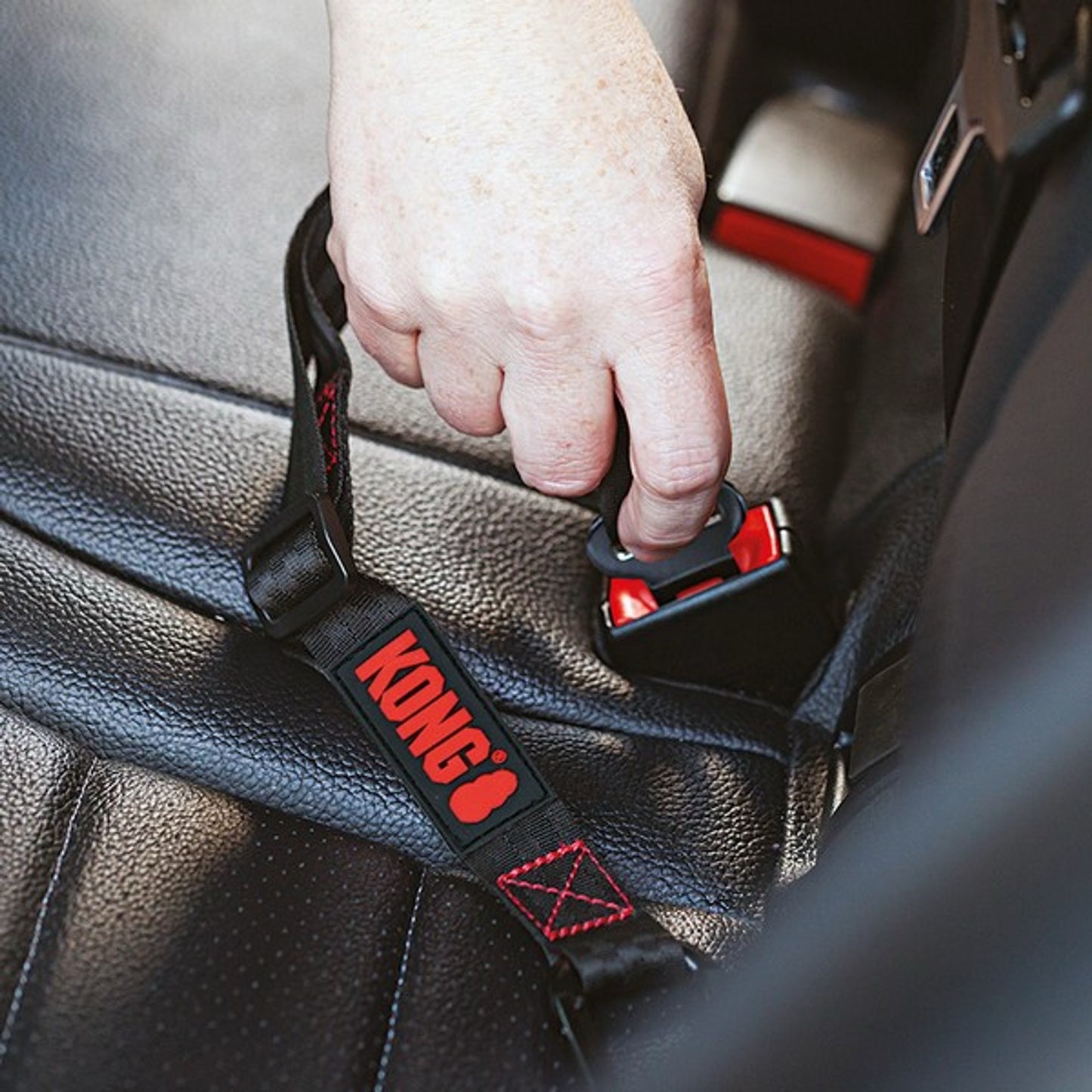 KONG Seat Belt Tether for Dogs - Dog Harness Accessories
