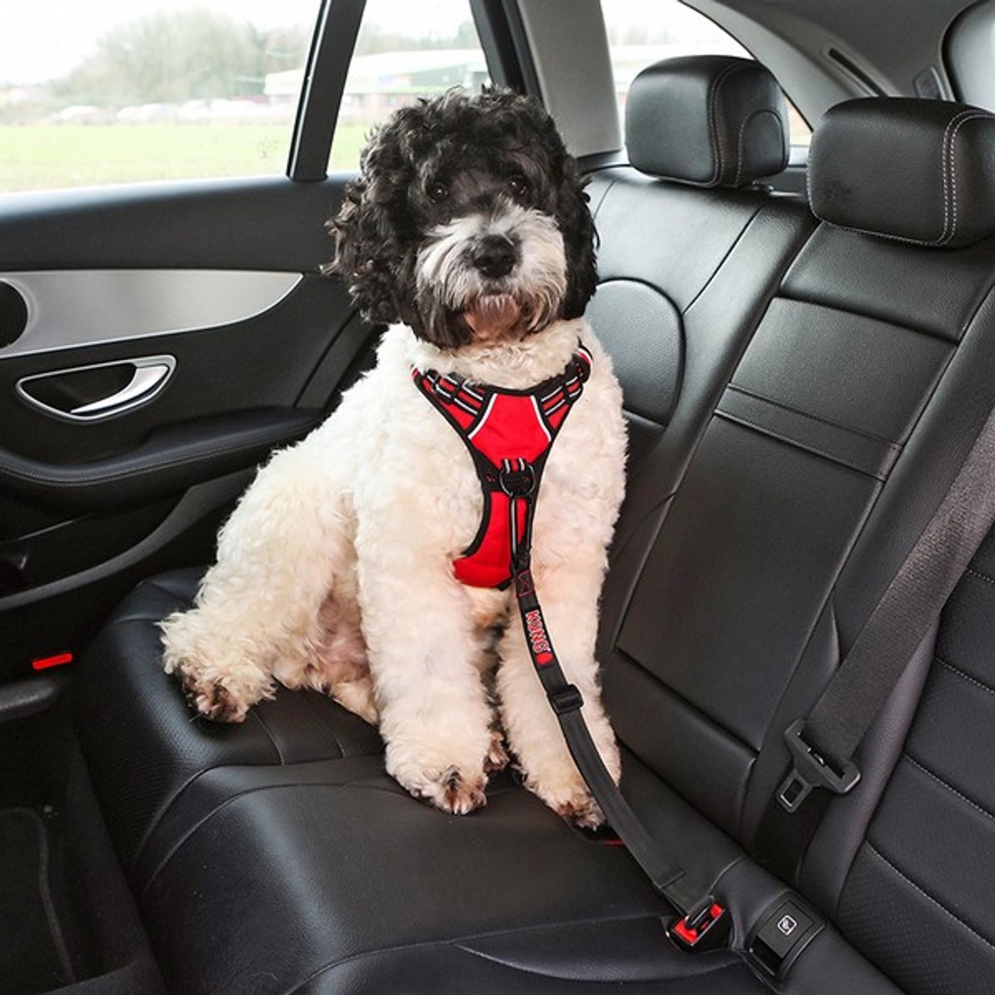 KONG Seat Belt Tether for Dogs - Dog Harness Accessories