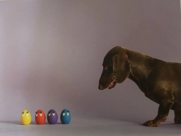 OVO Egg Range of Natural Rubber Dog Toys