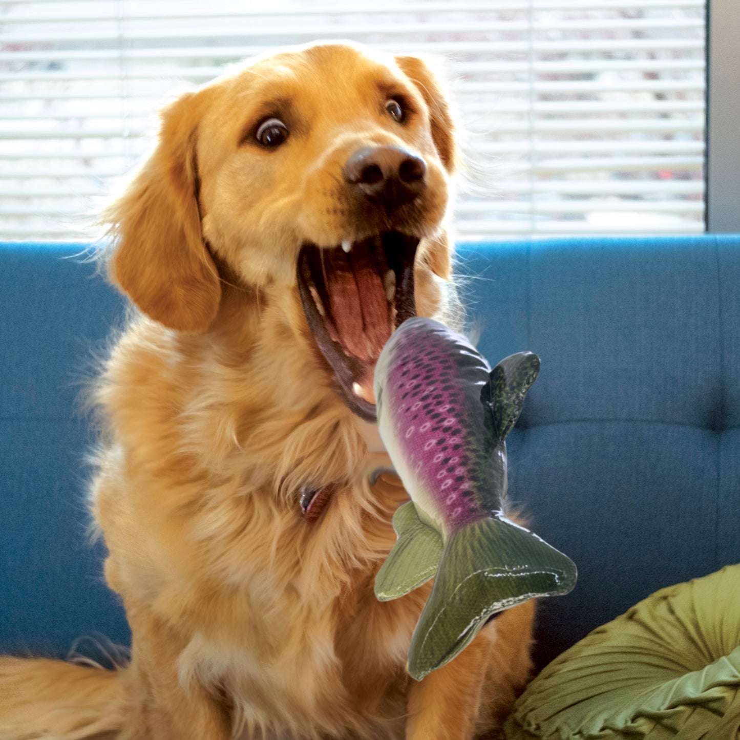KONG Shieldz Range - Durable Dog Toys for Long-lasting Playtime