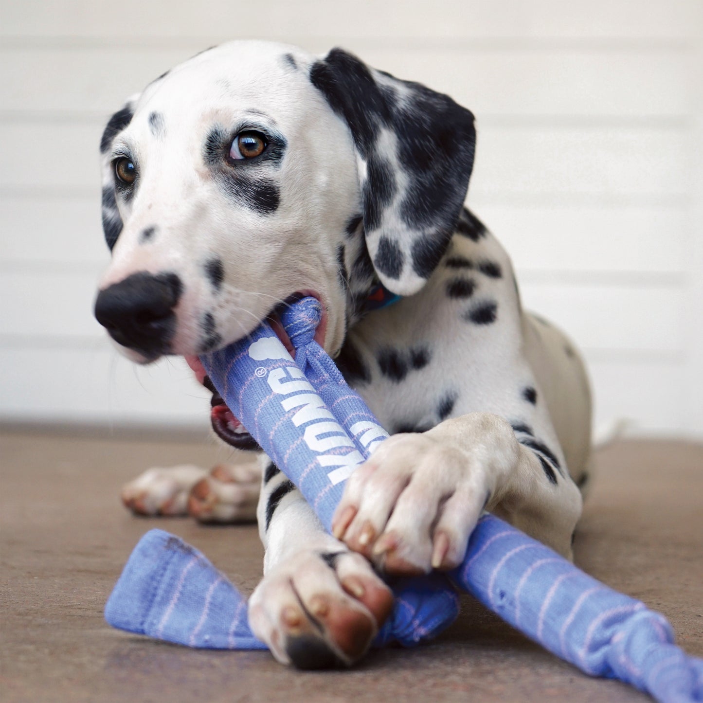 KONG Puppy Range - Puppy Essentials Range of Toys for Dogs