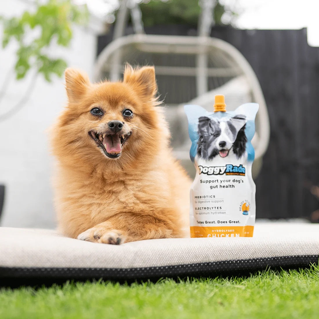 DoggyRade Prebiotic Isotonic Drinks & Meal Toppers for Pets 250ml