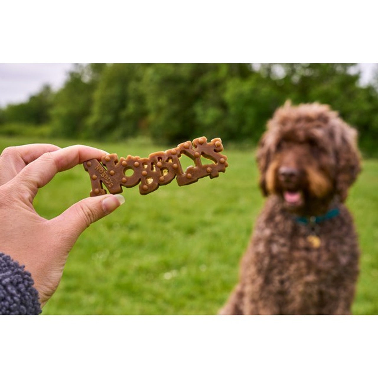 Petello Nobblys Dental Dog Chews - Natural Vegetarian Dental Treats for Dogs