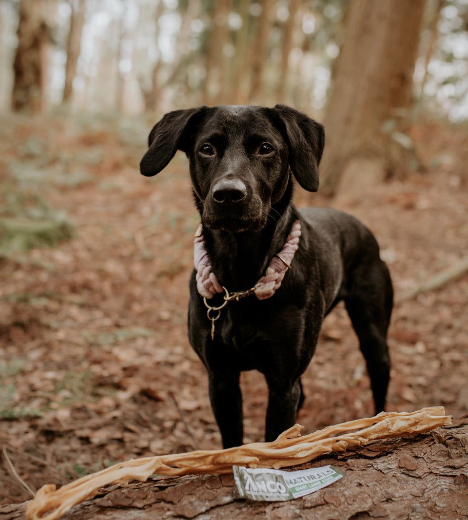 Build a Box - Natural Dog Treats - Build Your Own Bundle