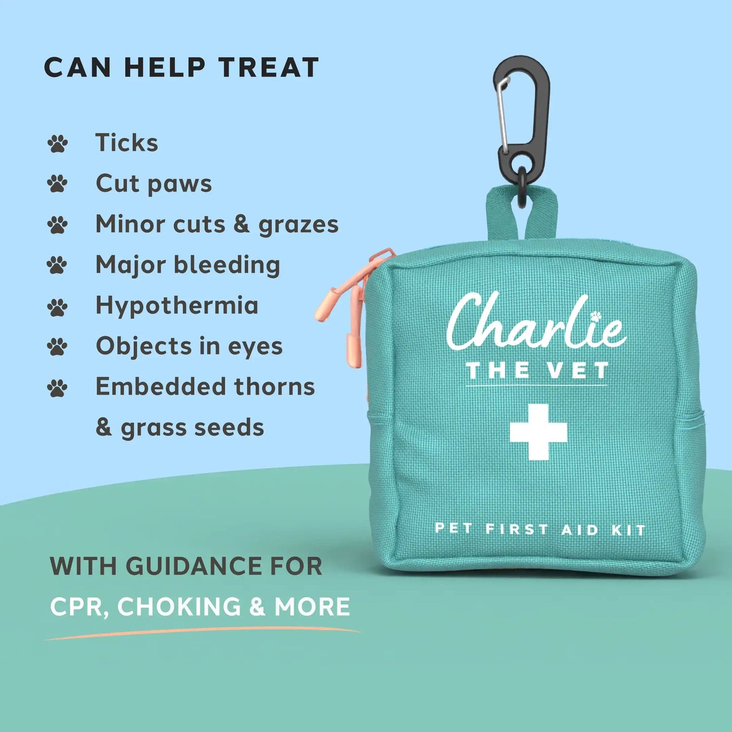 Charlie the Vet Mini Pet First Aid Kit