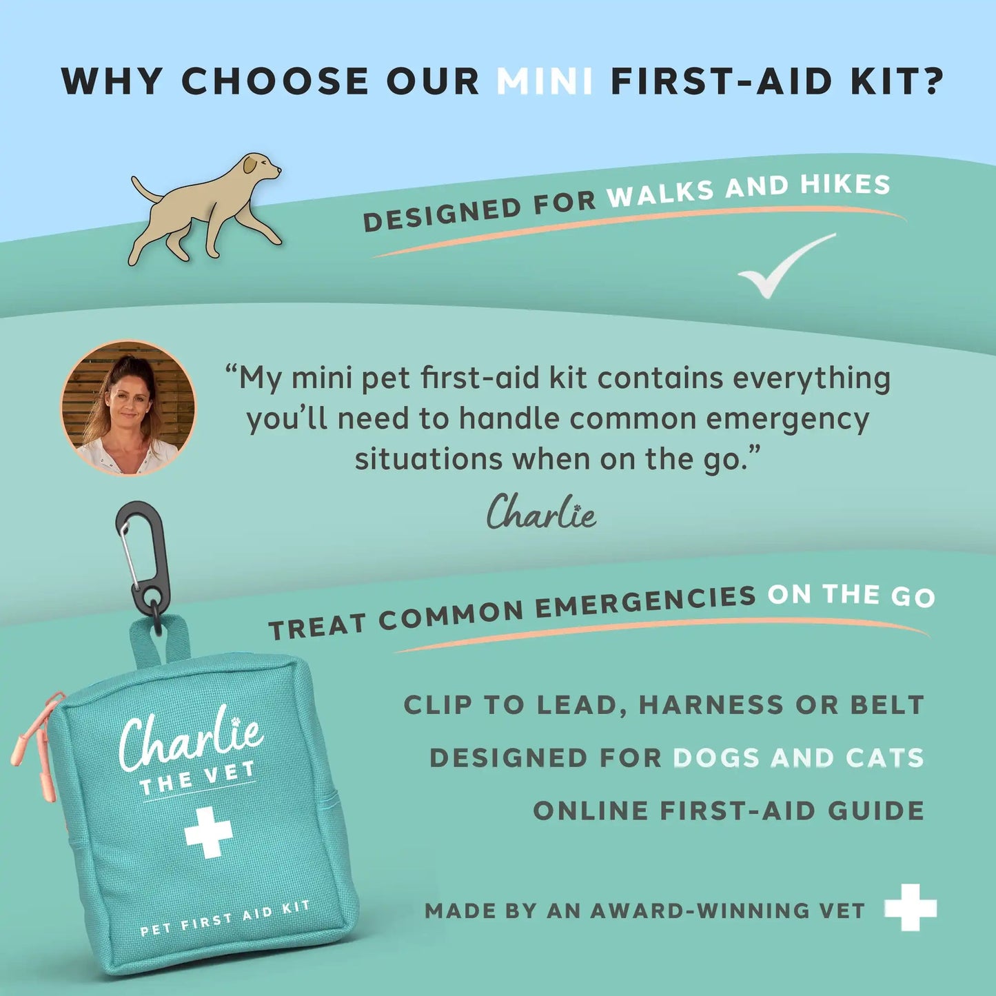Charlie the Vet Mini Pet First Aid Kit