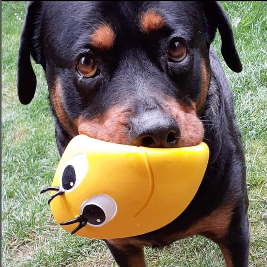 Dog Toys