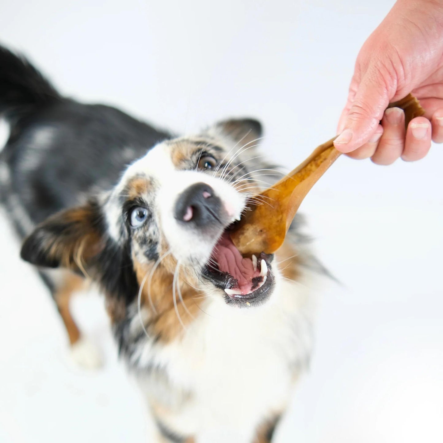 Build a Box - Natural Dog Treats - Build Your Own Bundle