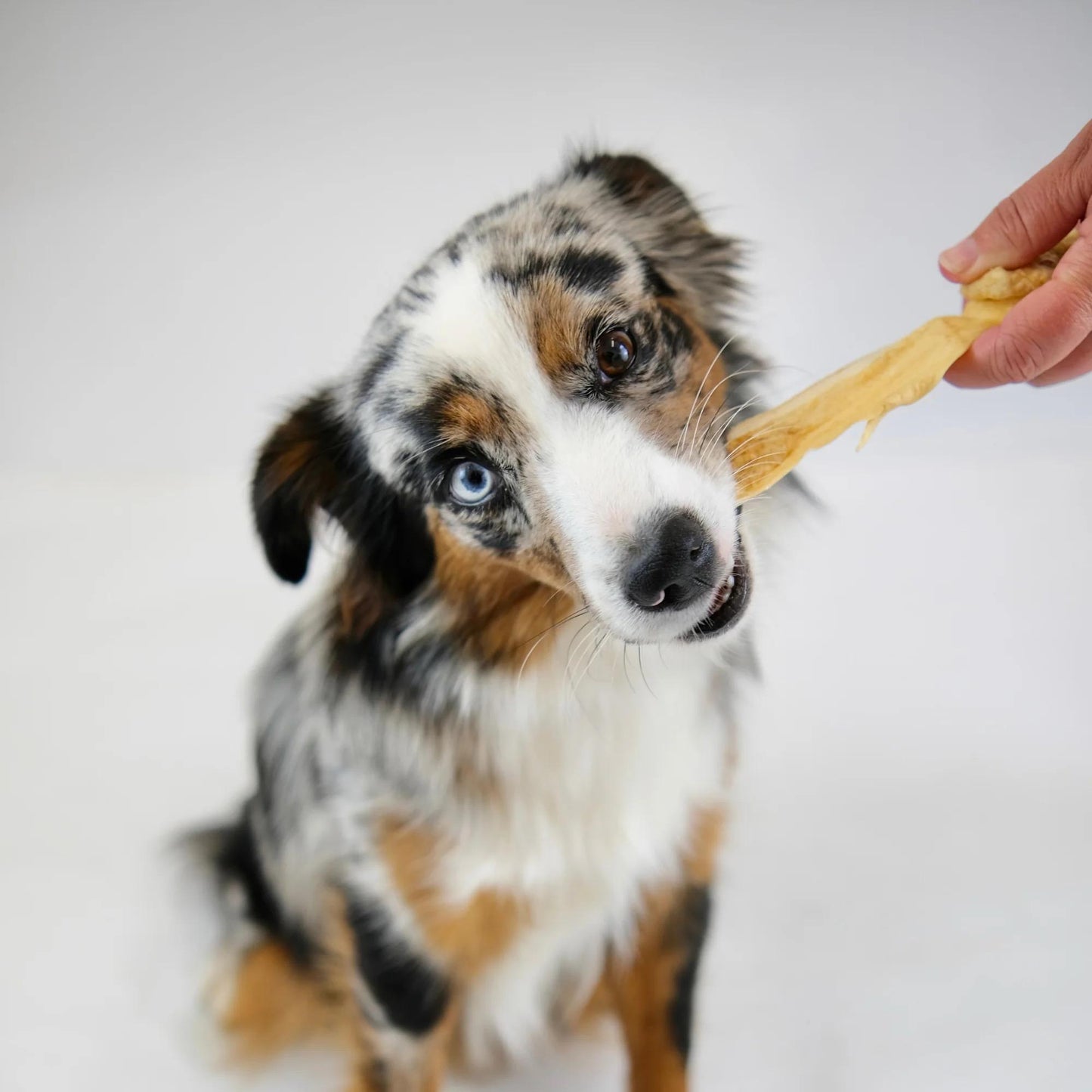 Build a Box - Natural Dog Treats - Build Your Own Bundle