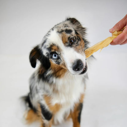 Build a Box - Natural Dog Treats - Build Your Own Bundle