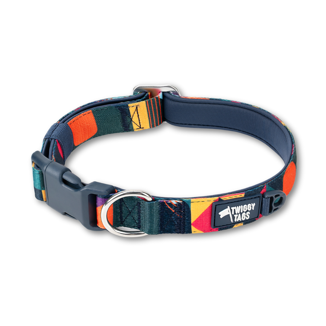 Twiggy Tags Adventure 2.0 Collar - Aurora