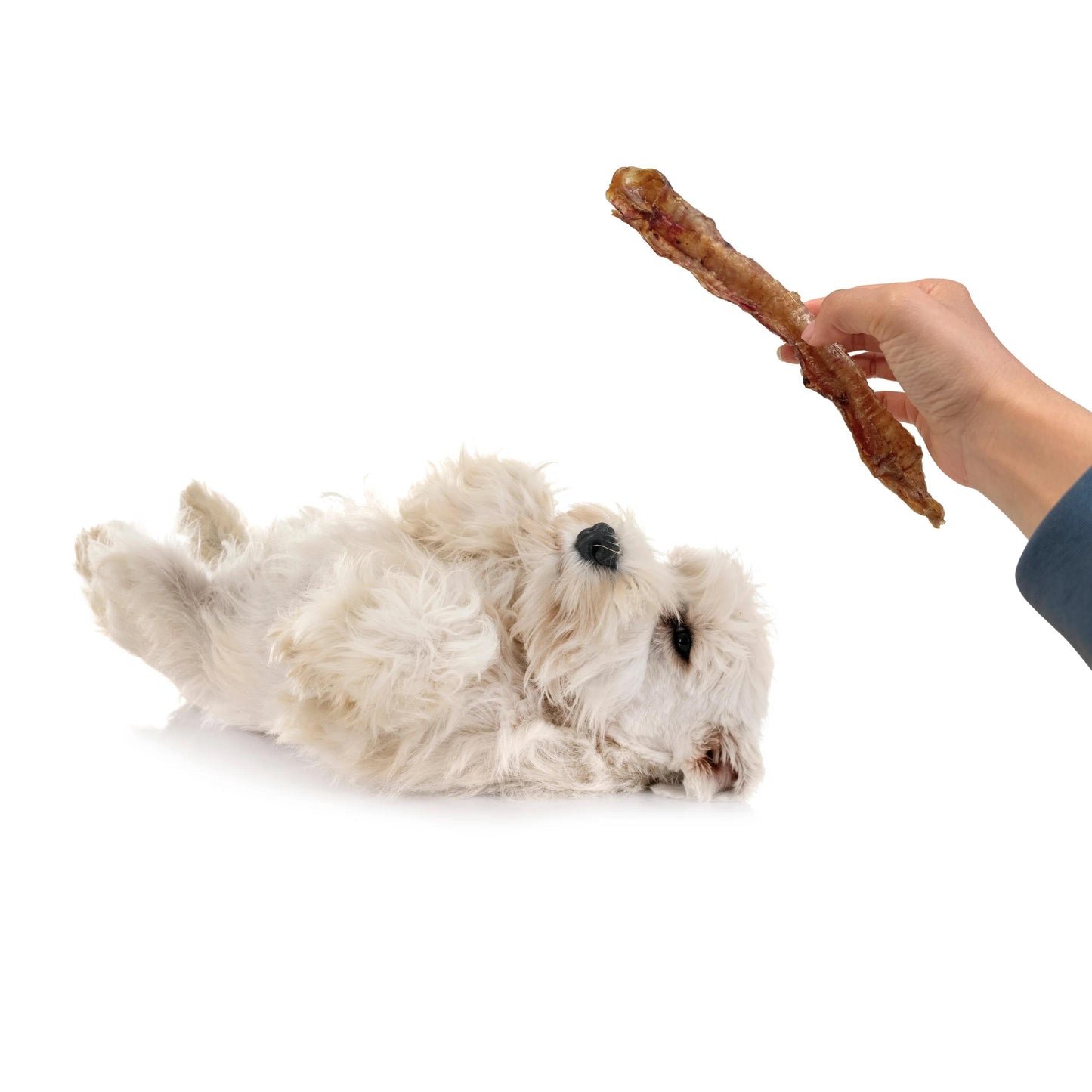 Build a Box - Natural Dog Treats - Build Your Own Bundle