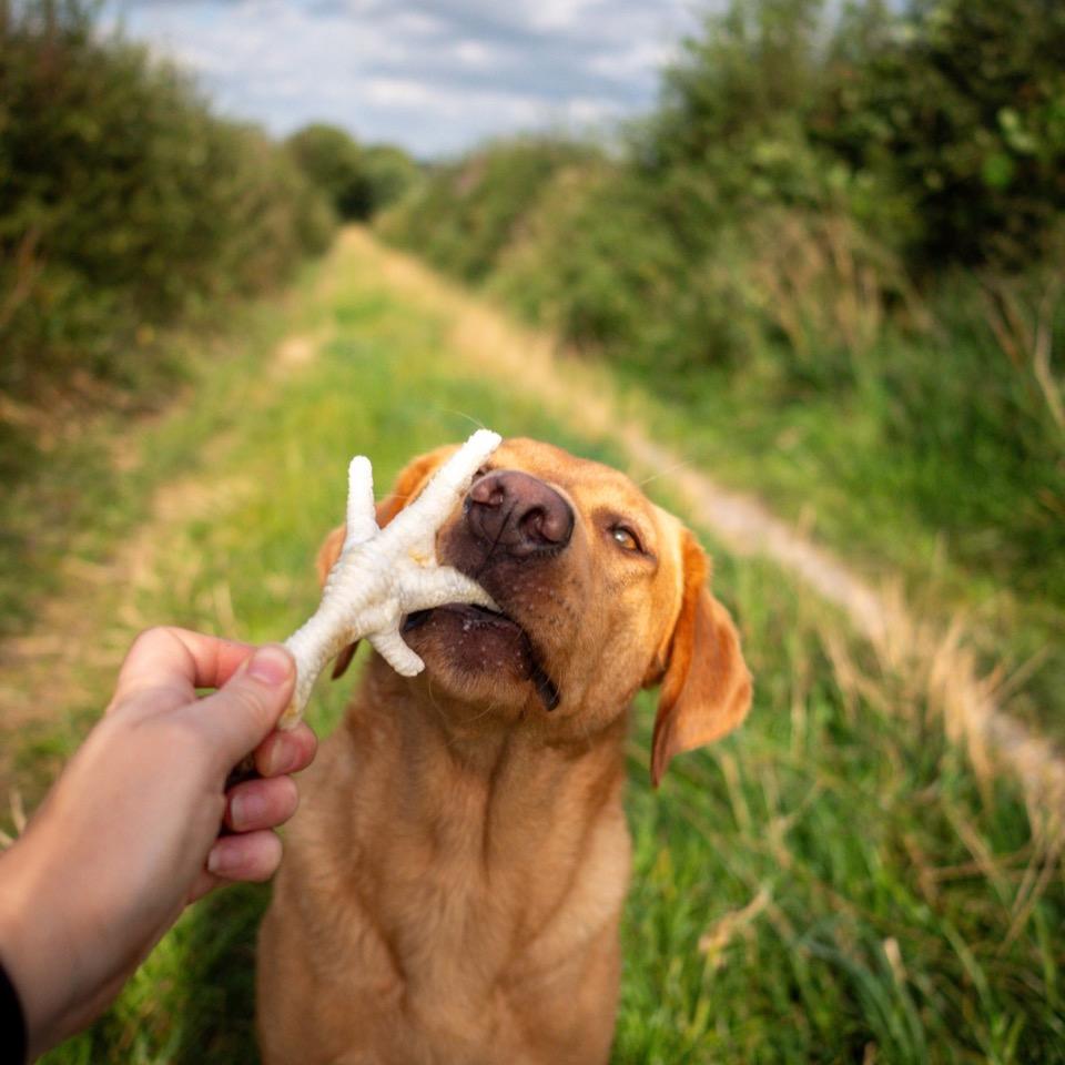 Build a Box - Natural Dog Treats - Build Your Own Bundle