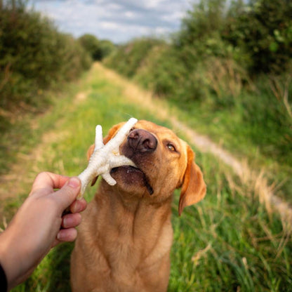 Build a Box - Natural Dog Treats - Build Your Own Bundle