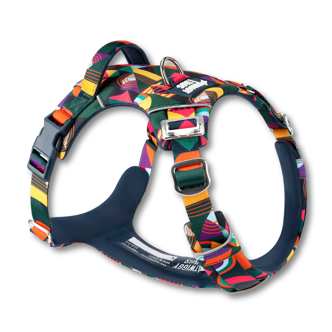 Twiggy Tags Adventure Harness 2.0 - Aurora
