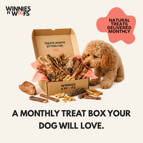 Doggie Box Monthly Subscription Box 30 Treats