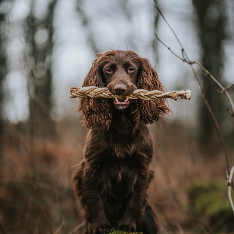 Build a Box - Natural Dog Treats - Build Your Own Bundle
