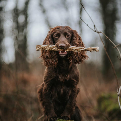 Build a Box - Natural Dog Treats - Build Your Own Bundle