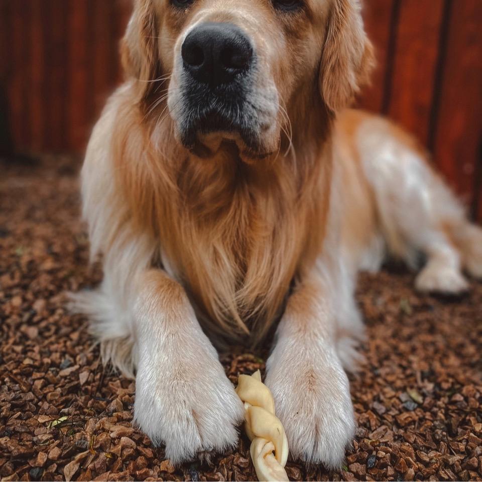 Build a Box - Natural Dog Treats - Build Your Own Bundle