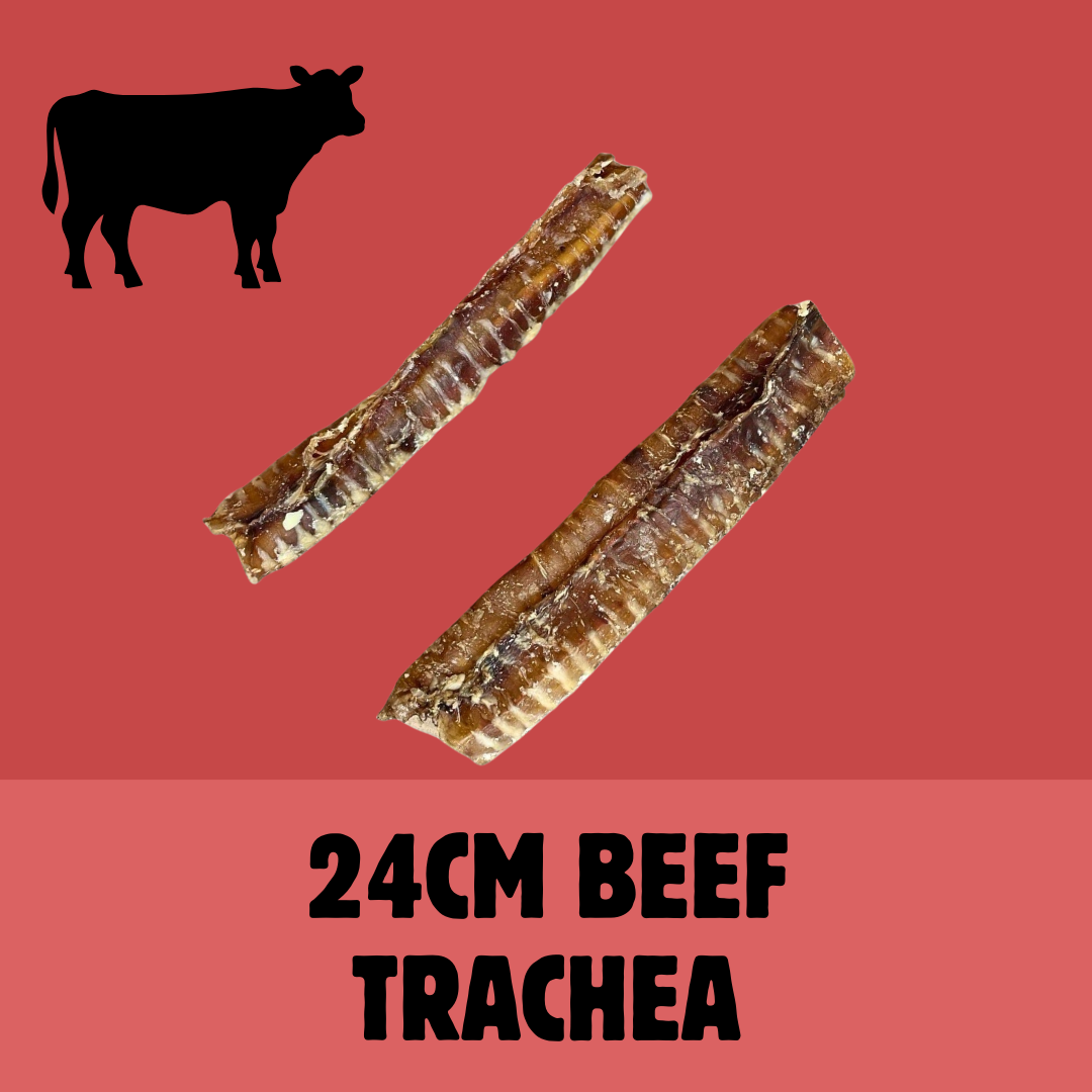 Build a Box | Custom Natural Dog Treat Bundle