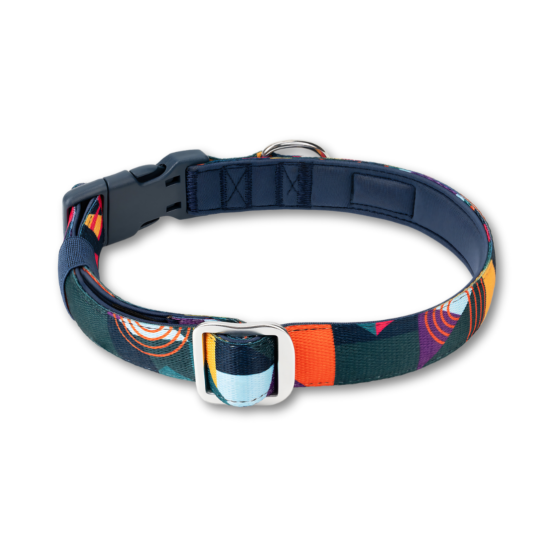 Twiggy Tags Adventure 2.0 Collar - Aurora
