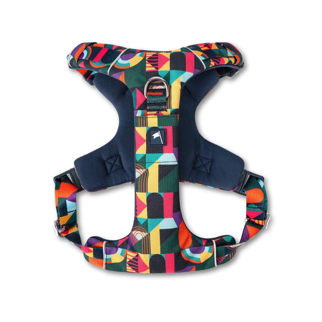 Twiggy Tags Adventure Harness 2.0 - Aurora