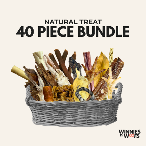 40 Piece Natural Dog Treat Variety Bundle