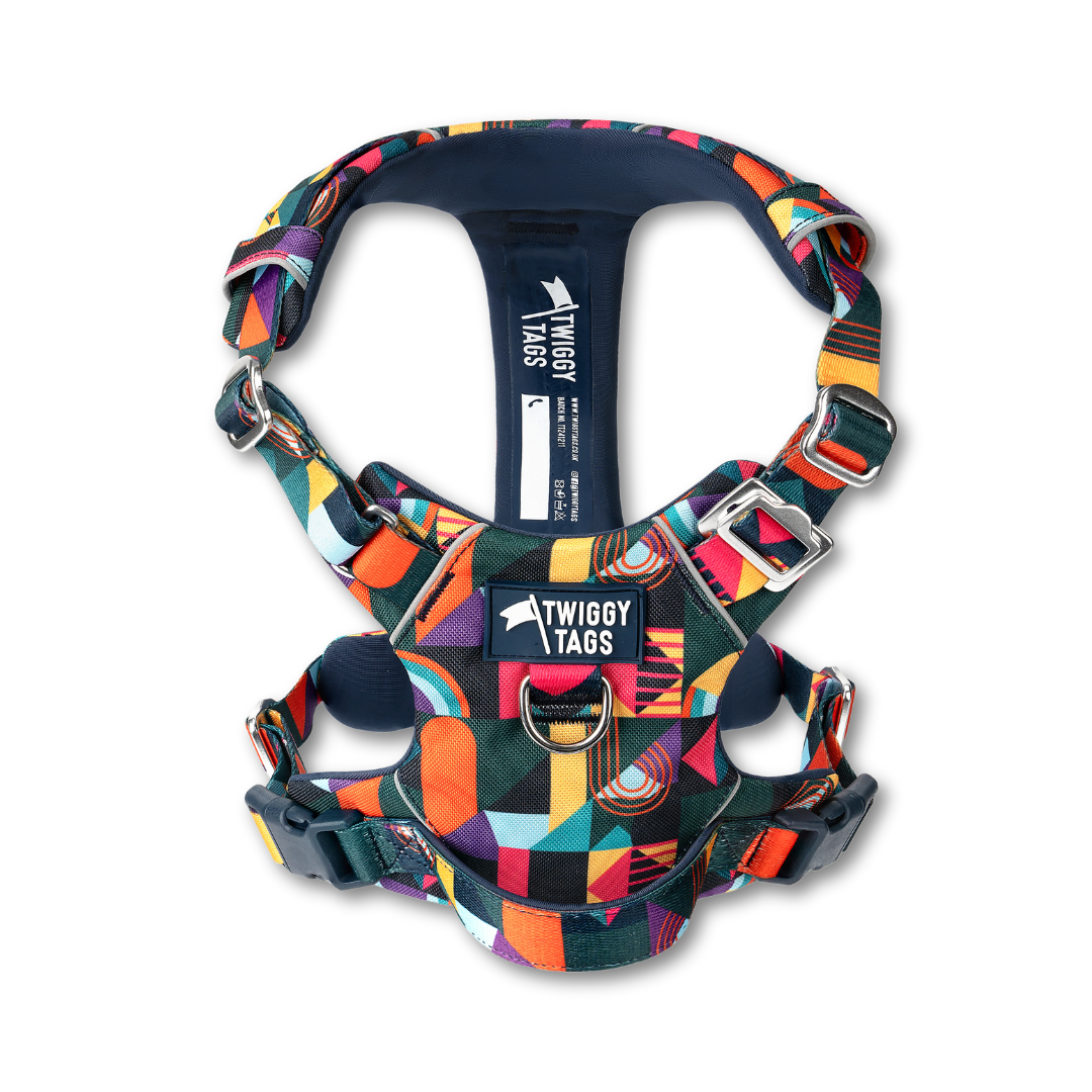 Twiggy Tags Adventure Harness 2.0 - Aurora