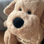 Oh So Precious Comfort Dog Teddy Soft Plush 45cm | Pet Loss Sympathy Gift