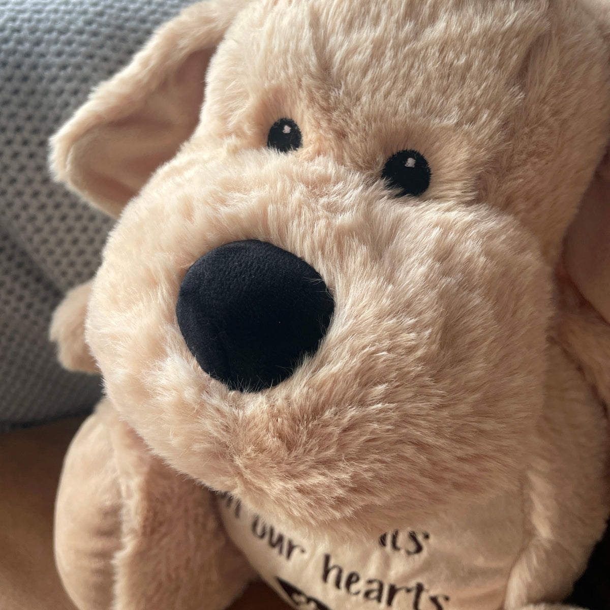 Oh So Precious Comfort Dog Teddy Soft Plush 45cm | Pet Loss Sympathy Gift