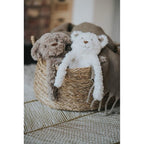 Rosewood - Crinkle and Squeak, No Stuffing - Dog Toy and Comforter