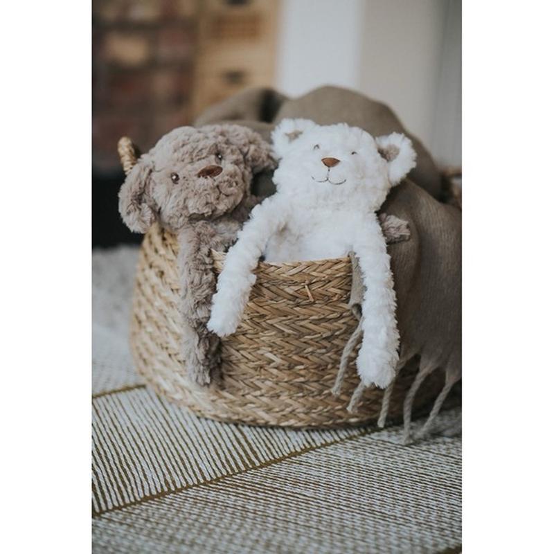 Rosewood - Crinkle and Squeak, No Stuffing - Dog Toy and Comforter