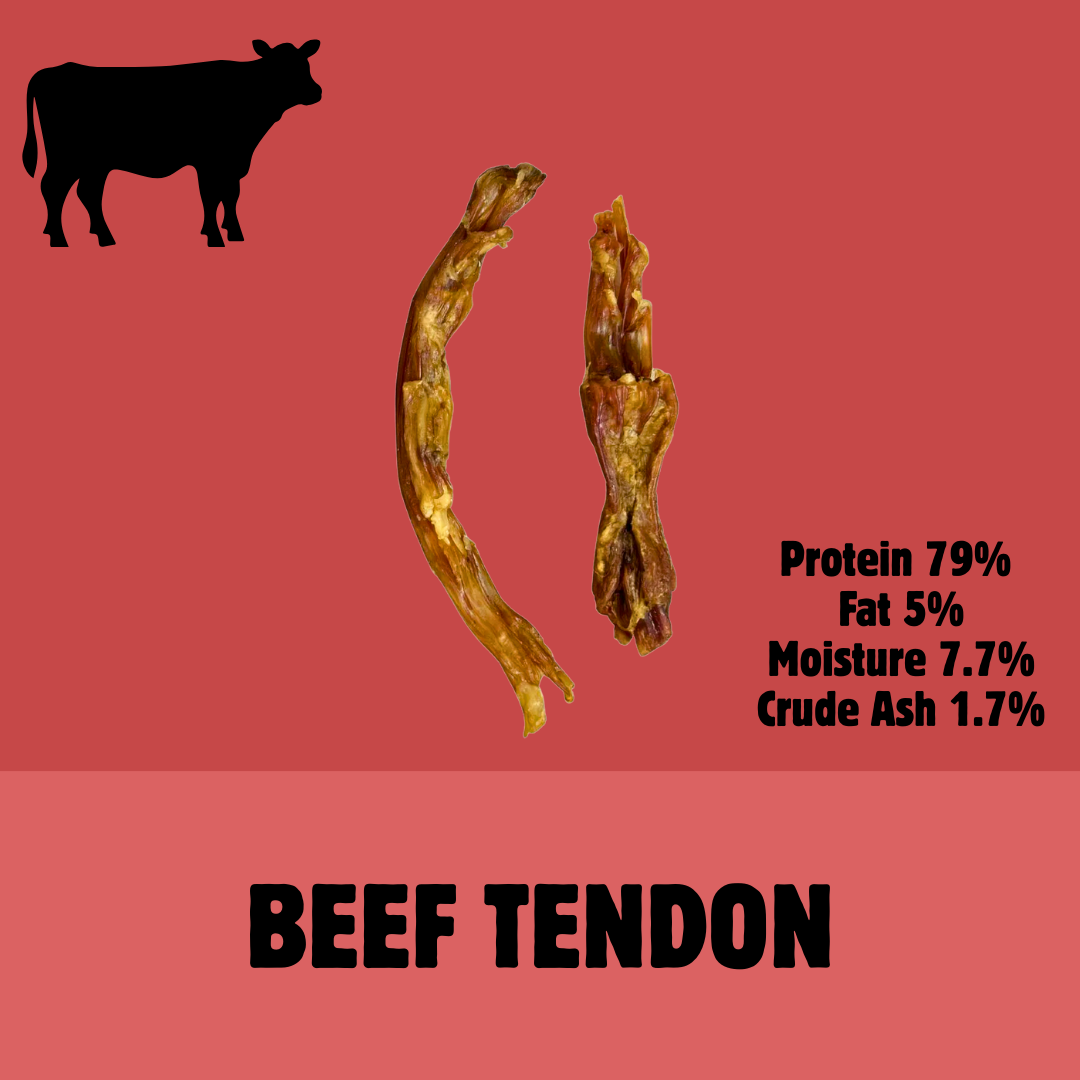 Build a Box | Custom Natural Dog Treat Bundle