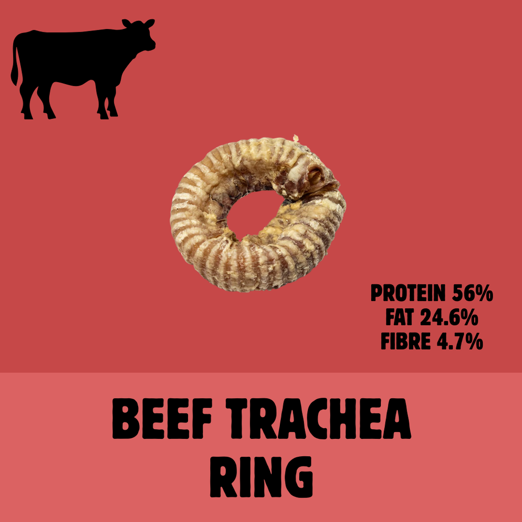 Build a Box | Custom Natural Dog Treat Bundle