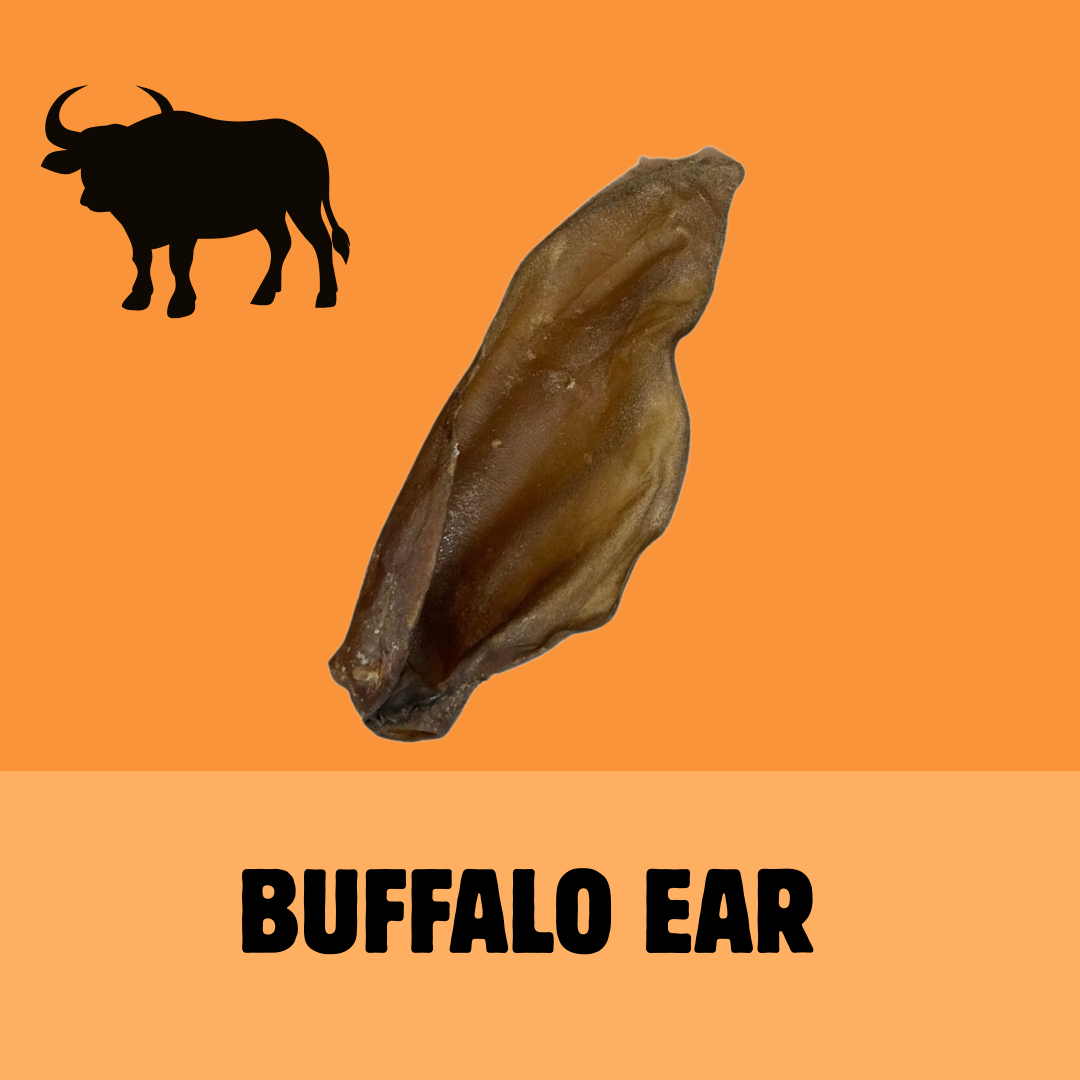 Little Paws Starter Bundle | Natural Treats for Puppies