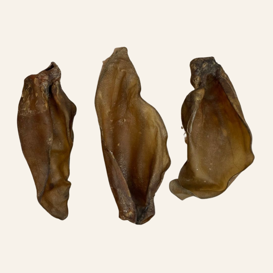 Buffalo Ear