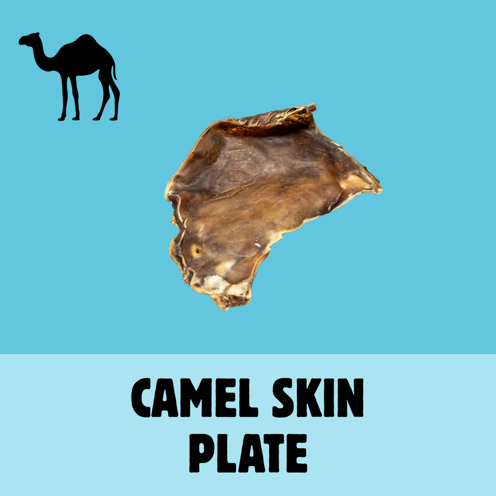 Build a Box | Custom Natural Dog Treat Bundle