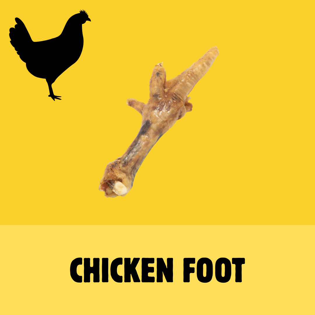 Little Paws Starter Bundle | Natural Treats for Puppies