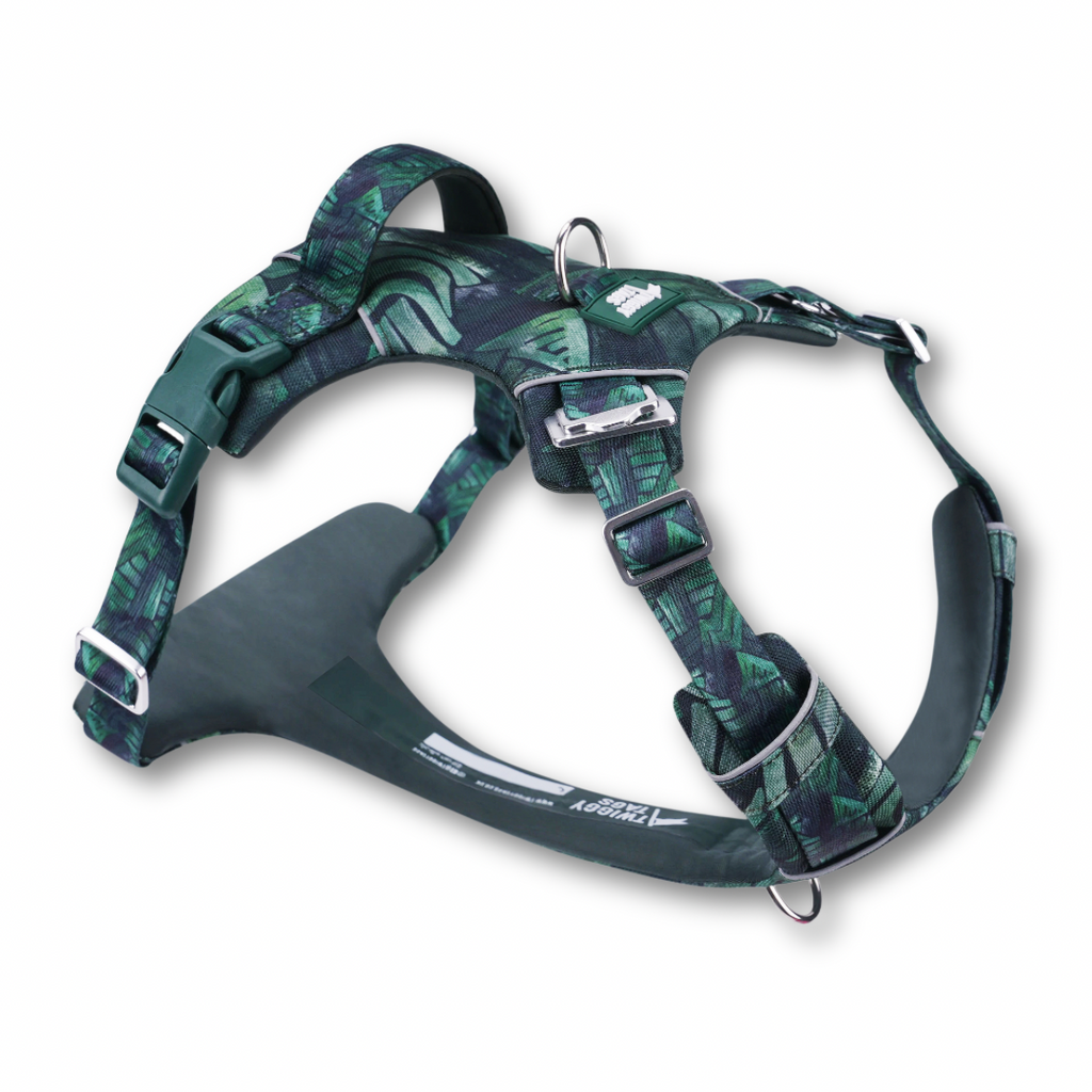Twiggy Tags Adventure Harness 2.0 - Canopy