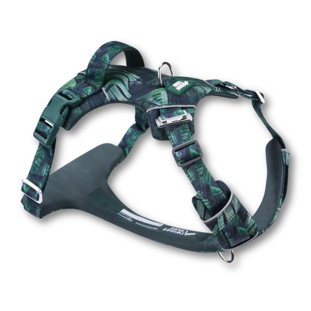 Twiggy Tags Adventure Harness 2.0 - Canopy