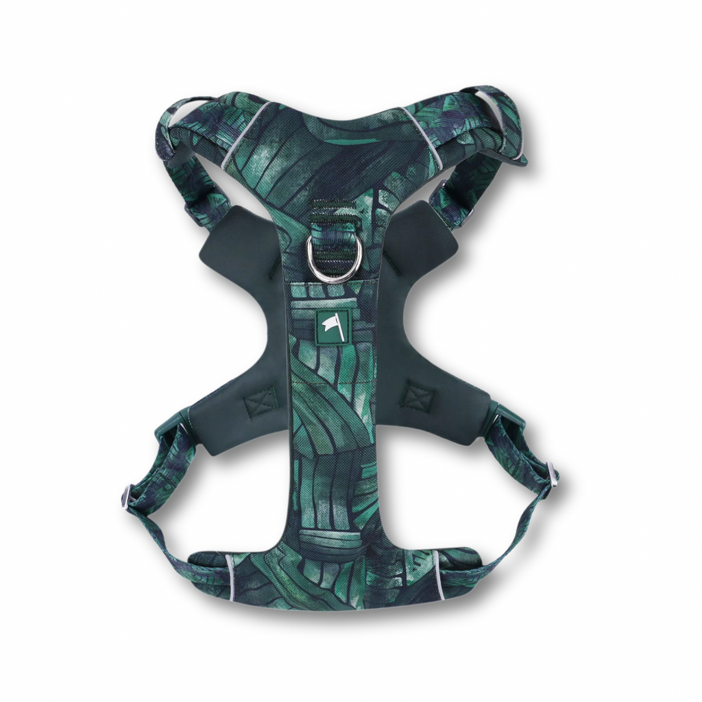 Twiggy Tags Adventure Harness 2.0 - Canopy