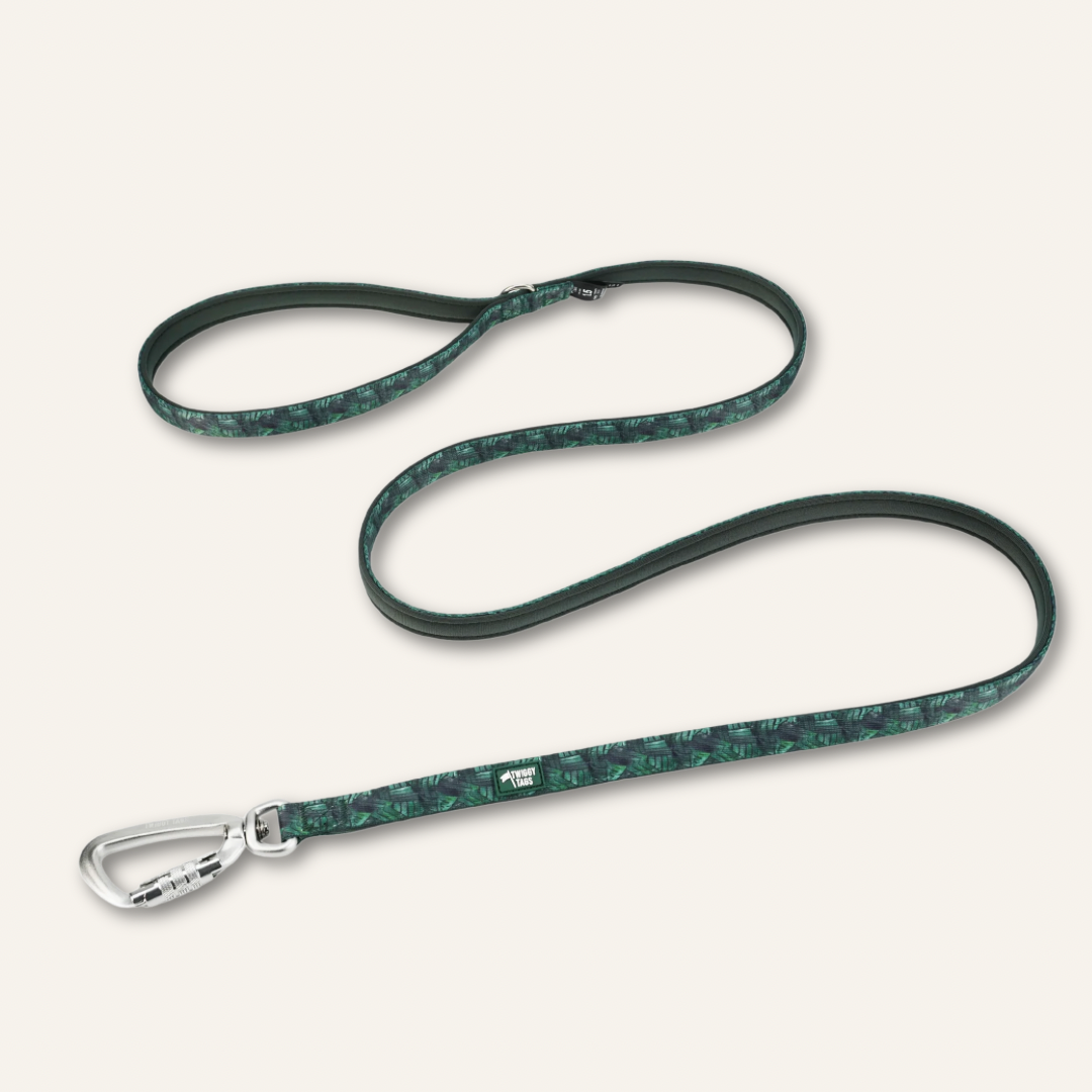 Twiggy Tags Lite Lead - Canopy