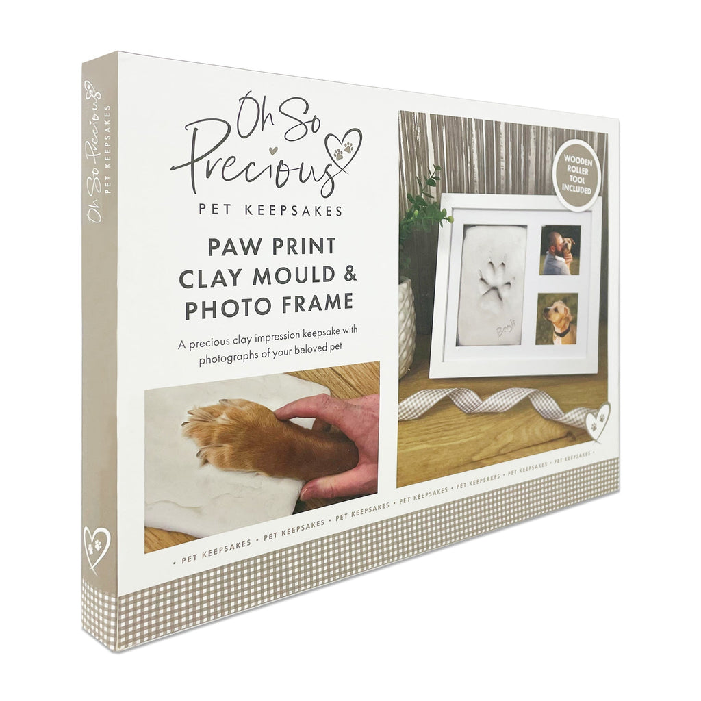 Oh So Precious Paw Print Clay Mould & Photo Frame Kit
