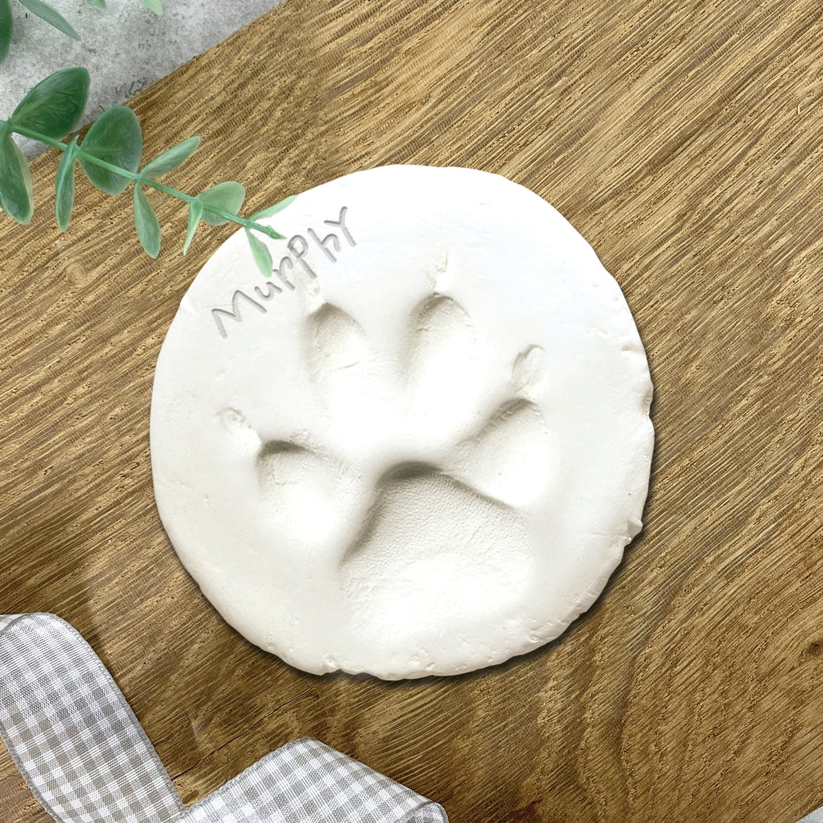 Oh So Precious Complete Pet Keepsake Kit