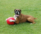 CoA Boomer Ball - Virtually Indestructible Dog Ball