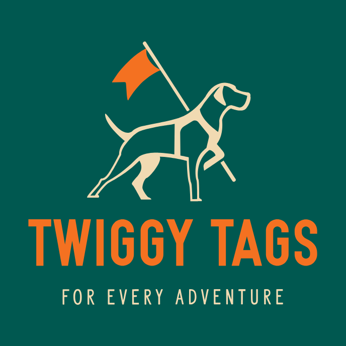 Twiggy Tags Tidal Waterproof Leads - Azure