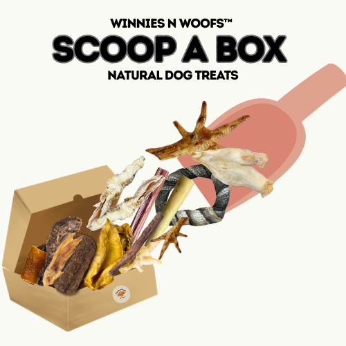 Scoop a Box – Natural Dog Treat Mix