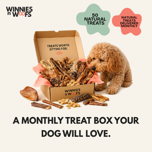 Doggie Box Plus Monthly Subscription Box 50 Treats